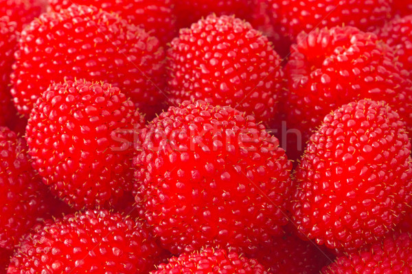 freshly picked ripe red raspberries Stock photo © Grazvydas