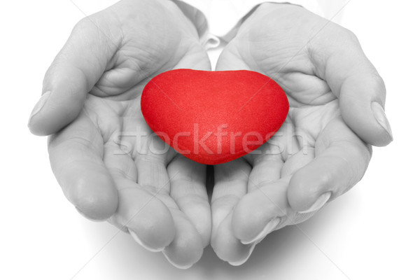 Női kezek tart piros szív szeretet Stock fotó © Grazvydas