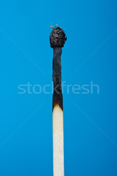 burnt match stick isolated on blue Stock photo © Grazvydas