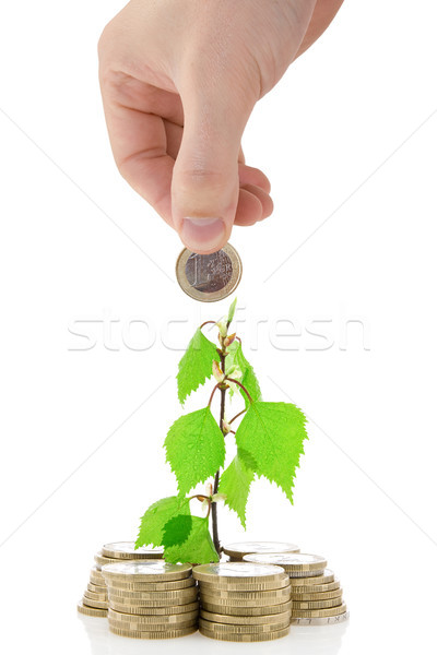 Сток-фото: Денежное · дерево · стороны · монеты · белый · Финансы · рынке