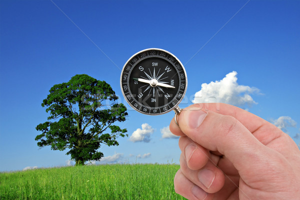 Hand Kompass Natur menschlichen Hand Business Wandern Stock foto © Grazvydas