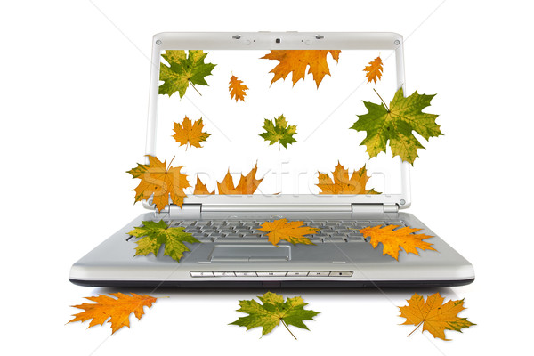 Stock foto: Herbstlich · Blätter · fallen · heraus · Computer · isoliert