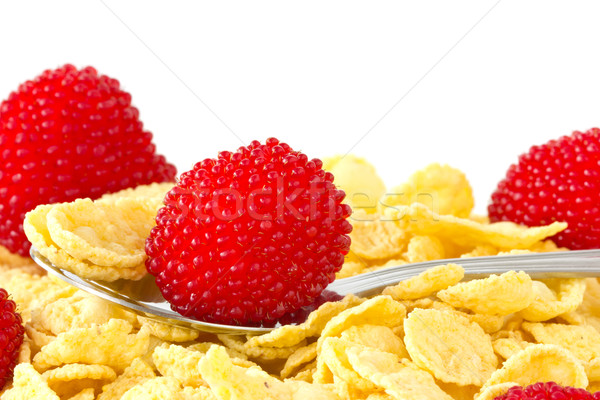Breakfast cereal with red berries  Stock photo © Grazvydas