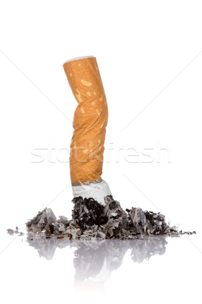 Single cigarette butt with ash Stock photo © Grazvydas