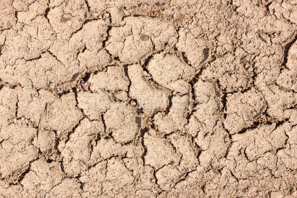 Stock photo: Cracked soil