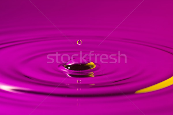 Serenità piccolo gocciolina cadere acqua natura Foto d'archivio © Grazvydas