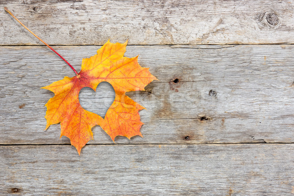 ősz szeretet fotó metafora juharlevél szív alak Stock fotó © Grazvydas