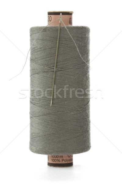 Grau Spule Thread Nadel weiß Design Stock foto © Grazvydas