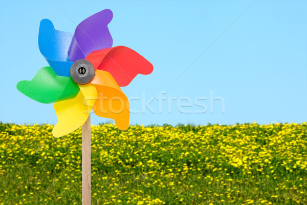 Wiatr koła lata łące kolorowy Zdjęcia stock © Grazvydas