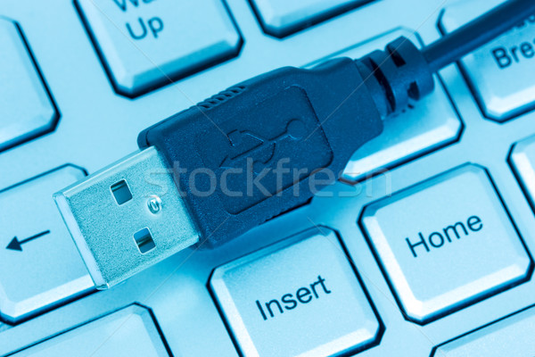 USB plug on computer keyboard Stock photo © Grazvydas