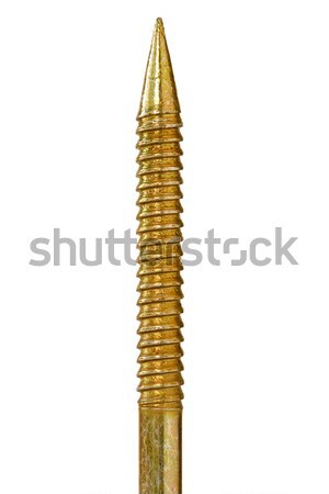golden screw Stock photo © Grazvydas
