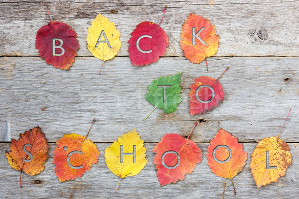 Returning to school in the fall Stock photo © Grazvydas