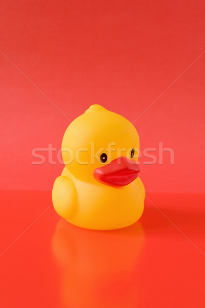 Foto stock: Borracha · patinho · vermelho · amarelo · isolado · pássaro