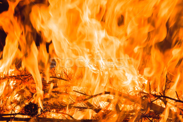 Brûlant feu de joie résumé [[stock_photo]] © gregorydean