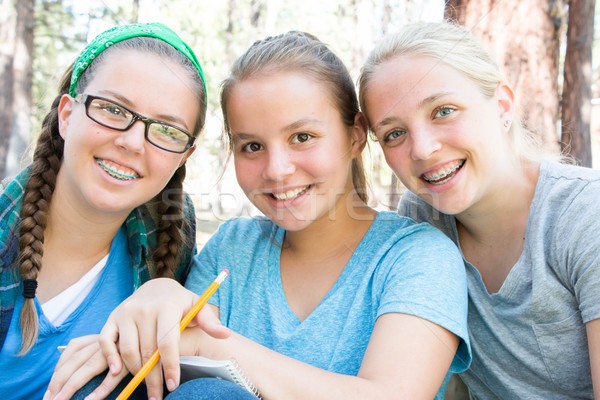 Young Schoolgirls Studying Stock photo © gregorydean