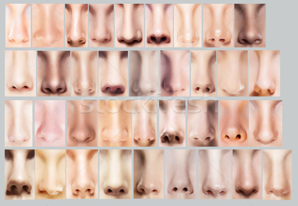 Körperteile groß Vielfalt Set Gesicht Frauen Stock foto © gromovataya