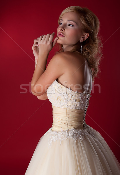 Zdjęcia stock: Nice · młodych · oblubienicy · biały · sukienka