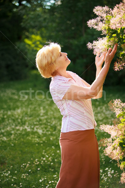 Gartenarbeit gnädig Senior Frau Blumen Baum Stock foto © gromovataya
