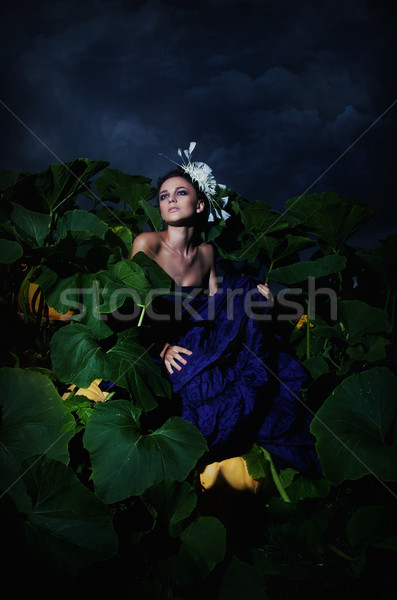 Nocturnal scene - cinderella in pile heap of ripe pumpkins Stock photo © gromovataya