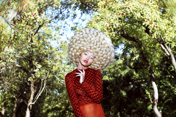 Extraordinario peinado mujer arte peluca pelo Foto stock © gromovataya