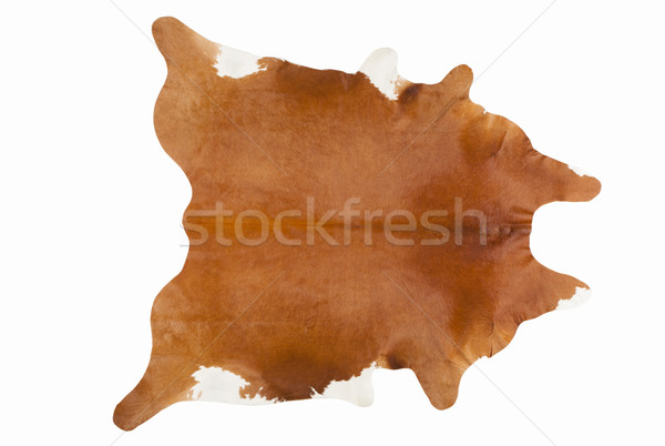 Furry Russet Pelage as a Rug Stock photo © gromovataya
