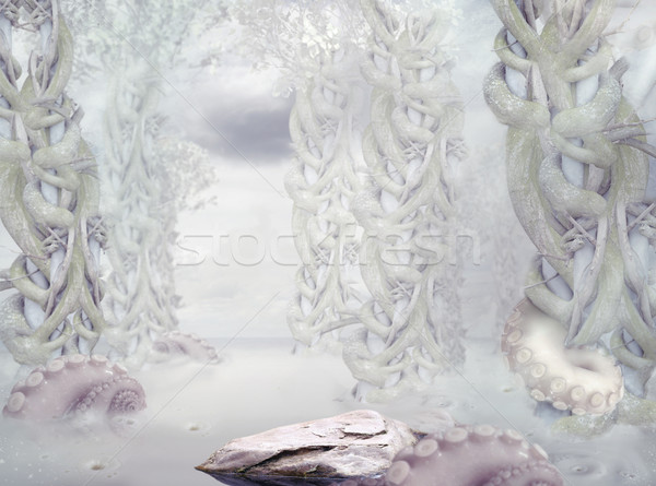 ストックフォト: 謎 · 神秘的な · 白 · 森林 · ツリー · 抽象的な