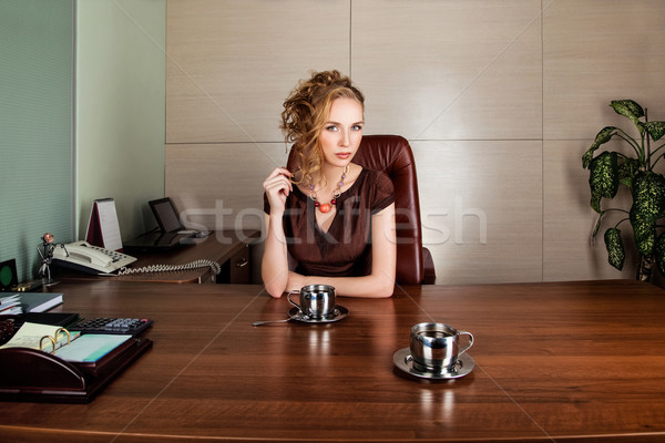 Strict business woman consultant in modern office interior Stock photo © gromovataya