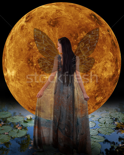 Water fairy in front of a Venus Stock photo © gsermek