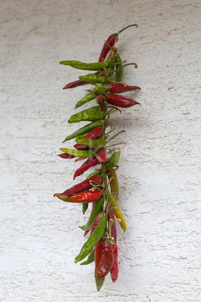 Garland of dry red chilly peppers Stock photo © gsermek