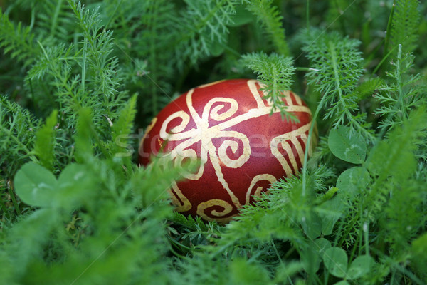 Croatian traditional easter eggs on green grass Stock photo © gsermek