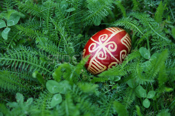 Húsvéti tojás hagyományos húsvét boldog festék háttér Stock fotó © gsermek