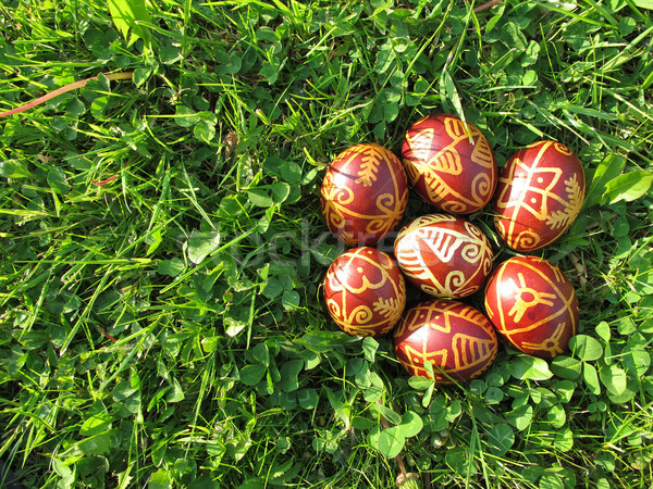 Croatian traditional easter eggs on green grass Stock photo © gsermek