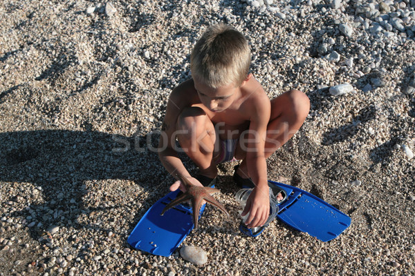 Boy found starfish on the beach Stock photo © gsermek