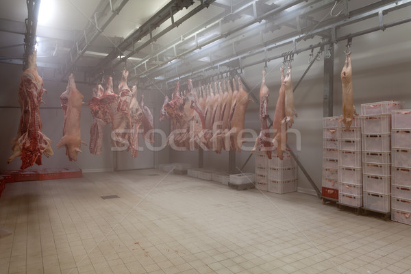 Sides of pork hanging from hooks in the cold store of a butchers Stock photo © gsermek
