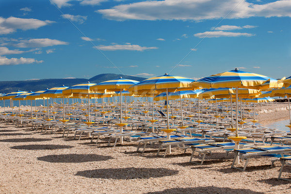Beach with perfectly parallel lines of parasols Stock photo © gsermek