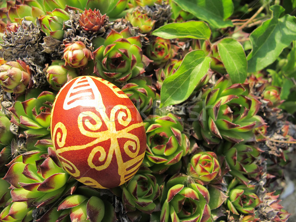 Croatian traditional easter egg in the nature Stock photo © gsermek