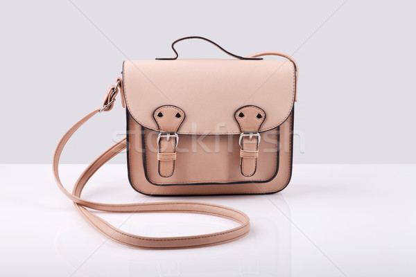 Stock photo: Female purse