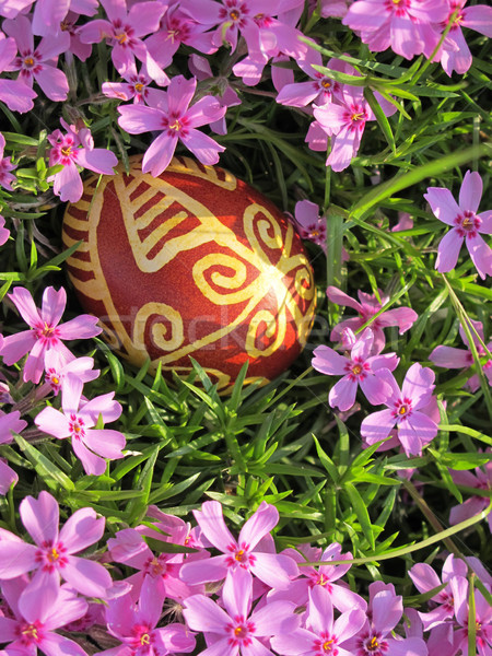 Croatian traditional easter egg on pink flowers Stock photo © gsermek