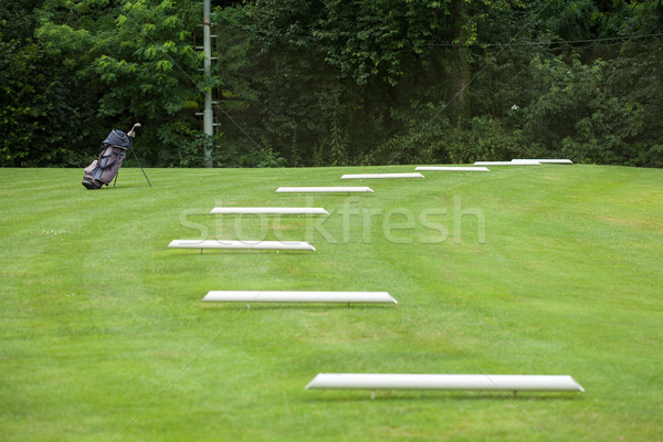 Stockfoto: Golftas · golfbaan · gras · golf · bos · sport