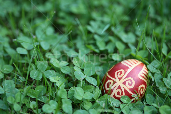 Croatian traditional Easter egg on green grass Stock photo © gsermek