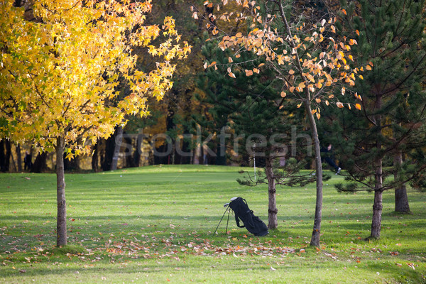 Herbstsaison Golfplatz Wald Landschaft Bäume orange Stock foto © gsermek