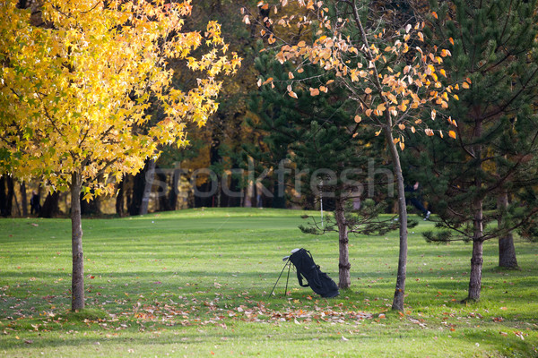 Golfbaan bos landschap bomen oranje Stockfoto © gsermek