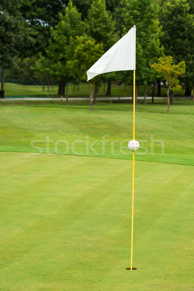 Witte vlag golfbaan focus gras golf Stockfoto © gsermek