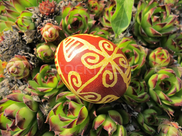 Croatian traditional easter egg in the nature Stock photo © gsermek