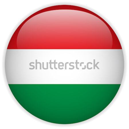 Bulgarien Flagge glänzend Taste Vektor Glas Stock foto © gubh83