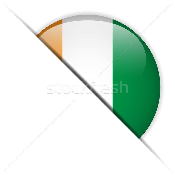 Irland Flagge glänzend Taste Vektor Glas Stock foto © gubh83