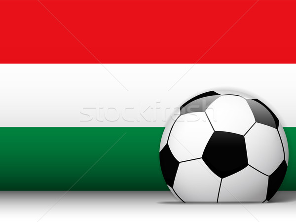 Stock fotó: Magyarország · futballabda · zászló · vektor · terv · világ