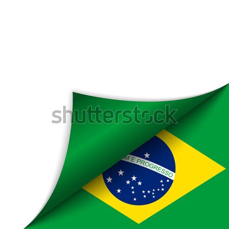 Brasil país bandeira página vetor projeto Foto stock © gubh83