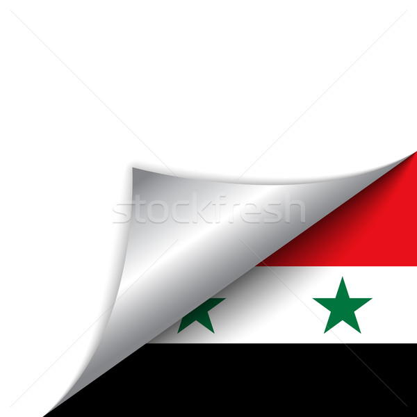 Siria paese bandiera pagina vettore segno Foto d'archivio © gubh83