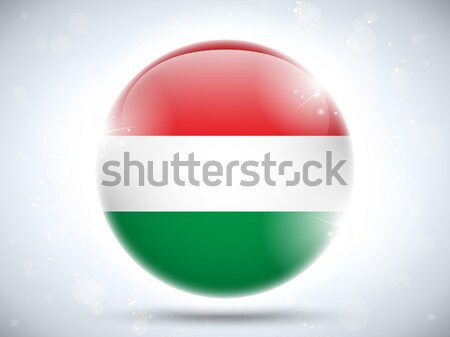 Bulgária zászló fényes gomb vektor üveg Stock fotó © gubh83